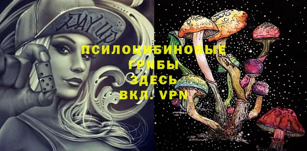 бошки Абинск