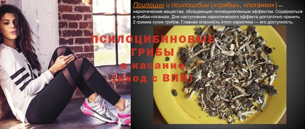jwh Алзамай
