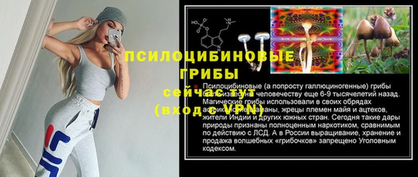 стафф Абдулино