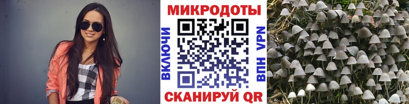 как найти закладки  Россошь  кракен онион  Псилоцибиновые грибы Magic Shrooms 